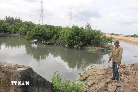 Khu vực nhánh sông Vàm Hưng Mỹ, khu phố Phú Hà, phường Mỹ Xuân bị ô nhiễm trầm trọng do doanh nghiệp xả thải trực tiếp. (Ảnh: Hoàng Nhị/TTXVN)
