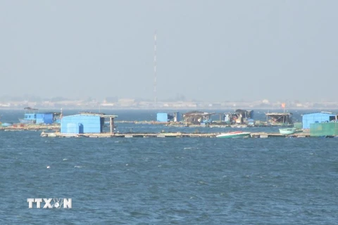Lồng bè nuôi thủy sản án ngữ trước bãi biển Bình Sơn (thành phố Phan Rang-Tháp Chàm, Ninh Thuận). (Ảnh: Nguyễn Thành/TTXVN)