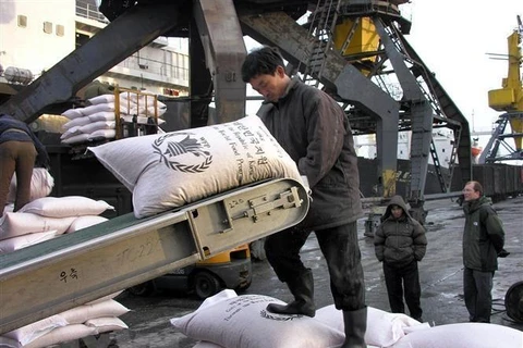 Công nhân bốc dỡ hàng viện trợ của Chương trình Lương thực thế giới tại cảng Nampo, Triều Tiên. (Nguồn: AFP/TTXVN)