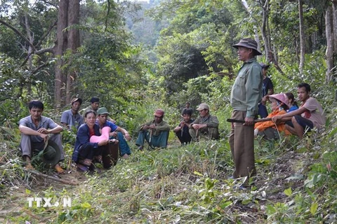 Người dân tham gia công tác tuần tra, bảo vệ rừng được giao khoán. (Ảnh: Hồng Điệp/TTXVN)