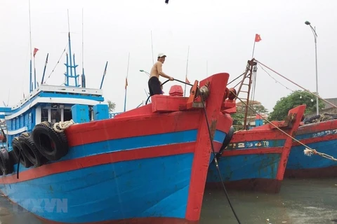 Người dân chằng buộc, neo tàu chắc chắn vào bờ để chống bão. (Ảnh minh họa: Nguyễn Oanh/TTXVN)