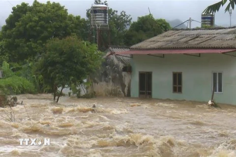 Mưa lớn, nước tràn vào nhà dân ở xã Đông Sang, huyện Mộc Châu, tỉnh Sơn La. (Ảnh: Nguyễn Cường/TTXVN)