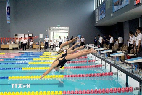 Các vận động viên tranh tài ở giải bơi, lặn vô địch các câu lạc bộ quốc gia khu vực 1. (Ảnh: Trịnh Duy Hưng/TTXVN)