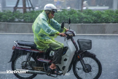 Ảnh minh họa. (Nguồn: Vietnam+)