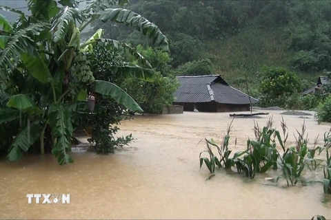 Mưa lũ làm hàng chục ngôi nhà ở huyện Vân Hồ, tỉnh Sơn La bị ngập sâu trong nước. (Ảnh: TTXVN)