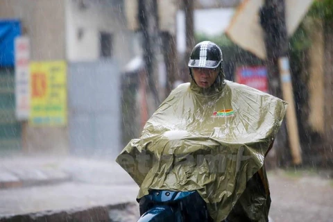 Dự báo các tỉnh Hà Tĩnh, Quảng Bình, Quảng Trị có mưa rất to. (Ảnh minh họa. Nguồn: Vietnam+)