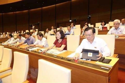 Đoàn đại biểu Quốc hội tỉnh Ninh Bình tham gia biểu quyết. (Ảnh: Doãn Tấn/TTXVN)