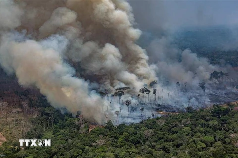 Khói bốc lên ngùn ngụt từ đám cháy rừng Amazon tại Candeias do Jamari, gần Porto Velho, bang Rondonia, đông bắc Brazil ngày 24/8/2019. (Ảnh: AFP/TTXVN)
