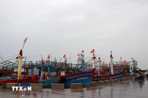 Ngư dân Quảng Trị đưa tàu cá cập Bến cá Cửa Việt đế tránh bão số 4. (Ảnh: Nguyên Lý/TTXVN)