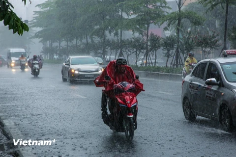 Ở các tỉnh Bắc Bộ, Thanh Hóa và Nghệ An có mưa vừa, mưa to. (Nguồn: Vietnam+)