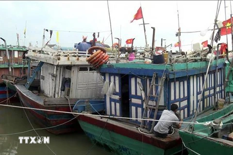 Tàu thuyền neo đậu tránh áp thấp nhiệt đới tại Cảng Lạch Quèn, thị xã Hoàng Mai, tỉnh Nghệ An. (Ảnh: Tá Chuyên/TTXVN)