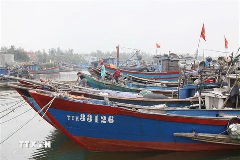 Tàu thuyền neo đậu ở âu thuyền Phú Hải, huyện Phú Vang, Thừa Thiên-Huế. (Ảnh: Quốc Việt/TTXVN)