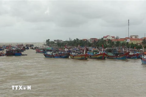 Tàu thuyền neo đậu ở Quảng Bình phòng tránh áp thấp nhiệt đới có khả năng mạnh lên thành bão. (Ảnh: Đức Thọ/TTXVN)