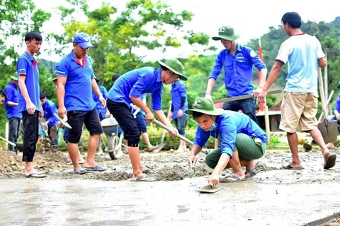 Đội thanh niên tình nguyện Đại học Huế tham gia làm đường giao thông nông thôn trong chiến dịch Thanh niên tình nguyện Hè. (Ảnh: Tường Vi/TTXVN)