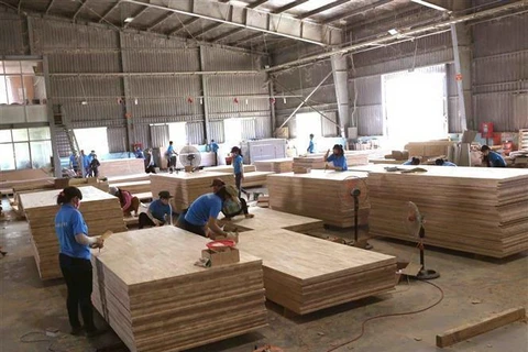 Sản xuất ván gỗ xuất khẩu từ nguyên liệu rừng trồng cây gỗ lớn tại nhà máy của Công ty Cổ phần Trường Phát (Tập đoàn Công nghiệp Cao su Việt Nam) trong khu công nghiệp Phước Hòa, huyện Phú Giáo, tỉnh Bình Dương. (Ảnh minh họa: Vũ Sinh/TTXVN)