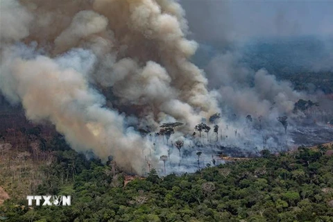 Khói bốc lên ngùn ngụt từ đám cháy tại rừng Amazon ở Porto Velho, bang Rondonia, Tây Bắc Brazil, ngày 24/8/2019. (Ảnh: AFP/TTXVN)