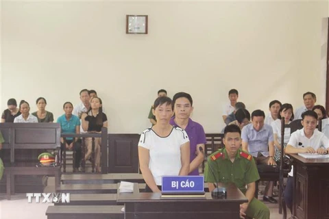 Các bị cáo tại phiên tòa xét xử. (Ảnh: Nguyễn Chinh/TTXVN)