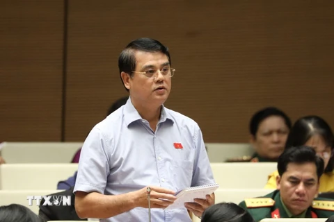 Đại biểu Quốc hội tỉnh Thanh Hóa Nguyễn Hữu Quang phát biểu. (Ảnh: Văn Điệp/TTXVN)