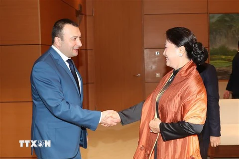 Chủ tịch Quốc hội Nguyễn Thị Kim Ngân tiếp Phó Chủ tịch Quốc hội Armenia, Vahe Enfiajyan. (Ảnh: Trọng Đức/TTXVN)