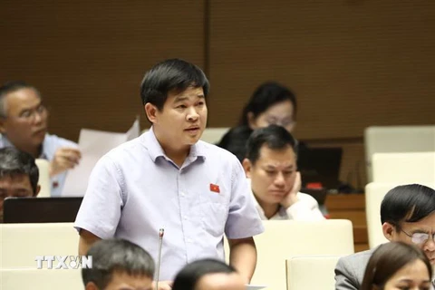 Đại biểu Quốc hội tỉnh Lào Cai Sần Sín Sỉnh phát biểu. (Ảnh: Văn Điệp/TTXVN)