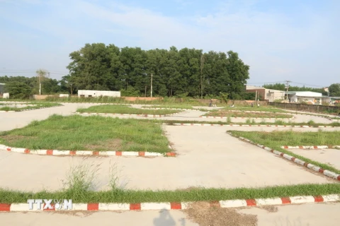 Trung tâm dạy nghề lái xe Sài Gòn được xây dựng trên khu đất 1ha. (Ảnh: Sỹ Tuyên/TTXVN)