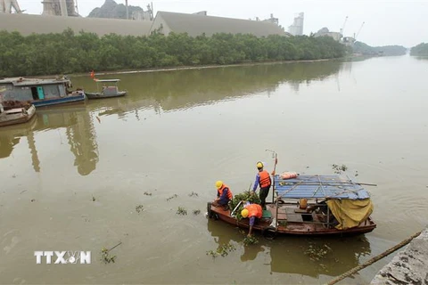 Công nhân thuộc Trung tâm ứng phó sự cố môi trường Việt Nam (SOS) làm sạch các khu vực bị ảnh hưởng sự cố tràn dầu. (Ảnh: An Đăng/TTXVN)