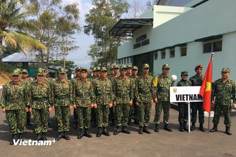 Đoàn Việt Nam tham gia AARM 29. (Ảnh: Hữu Chiến/Vietnam+)