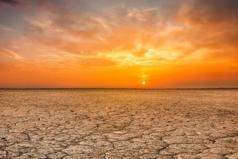 Năm 2019 đang trên đà trở thành một trong 3 năm nóng nhất trong lịch sử. (Nguồn: Getty Images)
