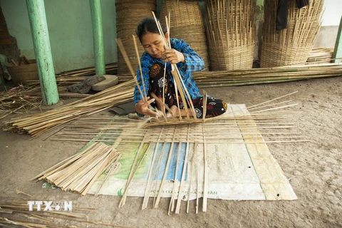 Làng nghề đan cần xé ở ấp Chí Thành, xã Tân Thành, huyện Tân Hiệp, tỉnh Kiên Giang hiện có 52 hộ tham gia vào Hợp tác xã đan cần xé Trúc Xinh. (Ảnh: Hồng Đạt/TTXVN)