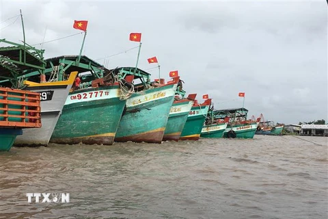 Việt Nam đã cải thiện đáng kể trong việc theo dõi, kiểm soát, giám sát tàu cá. (Ảnh minh họa: Thế Anh/TTXVN)