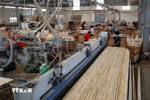 Sản xuất, chế biến gỗ xuất khẩu tại Công ty trách nhiệm hữu hạn khai thác, chế biến lâm sản Đà Lạt (Lâm Đồng). (Ảnh: TTXVN)