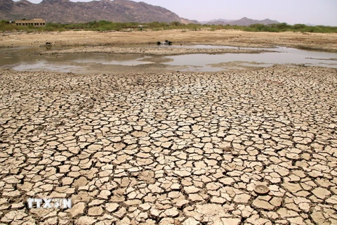 Một hồ nước khô cạn do nắng nóng kéo dài tại Ajmer, Ấn Độ ngày 2/6/2019. (Ảnh: AFP/TTXVN)