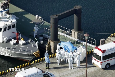 Nhân viên y tế chuyển các bệnh nhân nhiễm virus nCoV từ tàu du lịch Diamond Princess lên xe cứu thương tại cảng Yokohama, Nhật Bản ngày 5/2/2020. (Ảnh: THX/TTXVN) ​