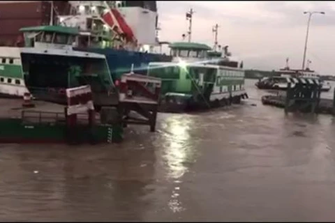 TP Hồ Chí Minh: Tàu biển va chạm gây hư hỏng bến phao phà Cát Lái