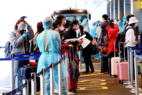 Công dân Việt Nam từ Frankurt (Đức) trở về nước làm thủ tục tại Sân bay Vân Đồn. (Nguồn: TTXVN)