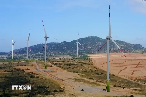 Nhiều dự án điện gió được đầu tư và phát triển mạnh tại Ninh Thuận. (Ảnh: Công Thử/TTXVN)