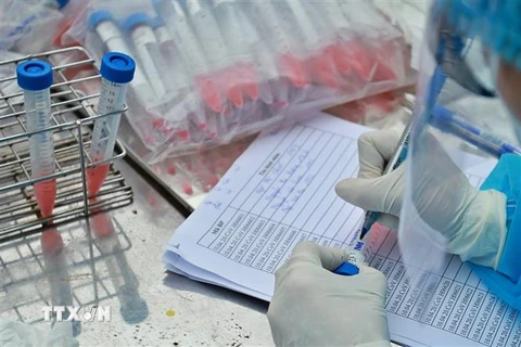 Nhân viên y tế của Trung tâm kiểm soát bệnh tật thành phố (CDC Hà Nội) tiến hành lấy mẫu xét nghiệm cho người dân. (Ảnh: Minh Quyết/TTXVN)