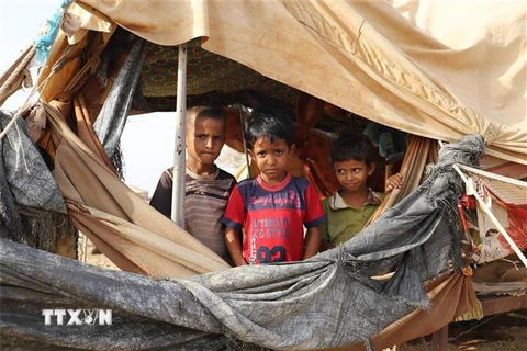 Trẻ em ở trong những túp lều tạm tại tỉnh Hajjah, Yemen, ngày 7/4/2020. (Ảnh: THX/TTXVN)