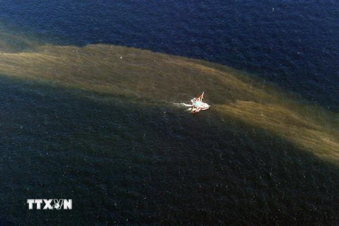 Vệt dầu tràn sau vụ nổ giàn khoan Deepwater Horizon ngoài khơi Louisiana, Mỹ, ngày 7/5/2010. (Ảnh: AFP/TTXVN)