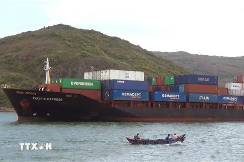 Tàu biển Pacific Express Sai Gon có IMO 9167851 đã đâm chìm tàu cá của ngư dân Phú Yên khi đang khai thác hải sản trên vùng biển Quy Nhơn. (Ảnh: Nguyên Linh/TTXVN)