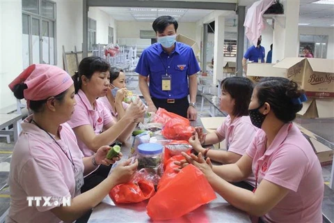 Phó Bí thư tỉnh Đoàn Vĩnh Phúc Nguyễn Trung Kiên thăm hỏi, tặng quà công nhân tại công ty Vina Korea. (Ảnh: Nguyễn Thảo/TTXVN)