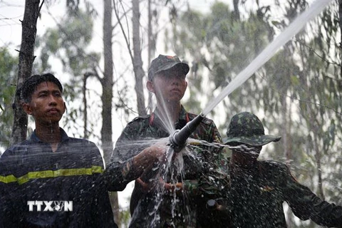 Cán bộ chiến sỹ Bộ Chỉ huy Quân sự tỉnh Kiên Giang chữa cháy rừng tràm. (Ảnh: Lê Phương Vũ/TTXVN)