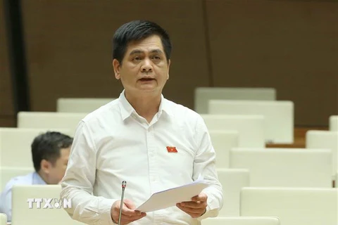 Đại biểu Quốc hội tỉnh Lạng Sơn Nguyễn Lâm Thành phát biểu ý kiến. (Ảnh: Doãn Tấn/TTXVN)