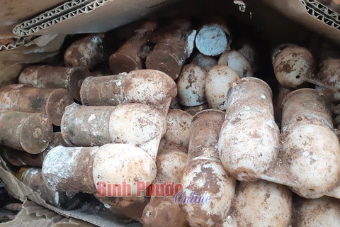 Số đạn cối M79 tại vườn chị Nguyễn Ngân Soa (thôn 2, xã Minh Hưng, huyện Bù Đăng, tỉnh Bình Phước). (Nguồn: Báo Bình Phước)