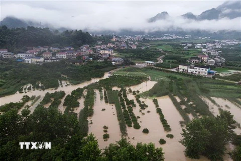 Cảnh ngập lụt trên cánh đồng sau những trận mưa lớn tại tỉnh Hồ Nam, Trung Quốc, ngày 6/7/2020. (Ảnh: THX/TTXVN)