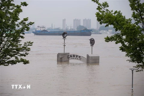 Nước sông dâng cao tại tỉnh Giang Tô, Trung Quốc. (Ảnh: THX/TTXVN)