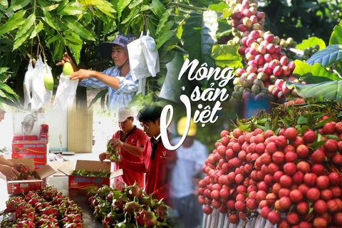 [Mega Story] Nông sản Việt trên hành trình 'vươn ra biển lớn'