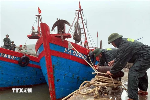Bộ đội Biên phòng Nghệ An giúp ngư dân giằng néo tàu thuyền tránh bão. (Ảnh: Tá Chuyên/TTXVN)