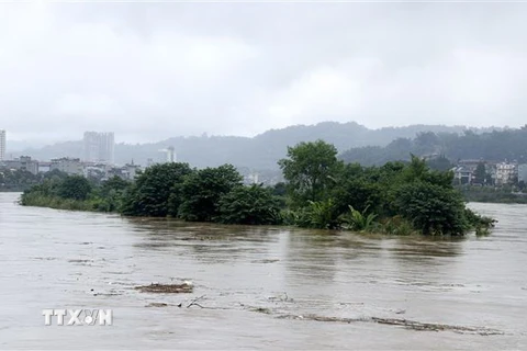 Lũ trên sông Hồng đoạn qua thành phố Lào Cai lên cao làm ngập một phần đảo Soi Tiền. (Ảnh: Quốc Khánh/TTXVN)