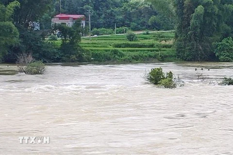 Cầu ngầm xóm Háng Thoang, xã Đàm Thủy - nơi anh Hoàng Văn Cương bị nước lũ cuốn trôi. (Ảnh: TTXVN)